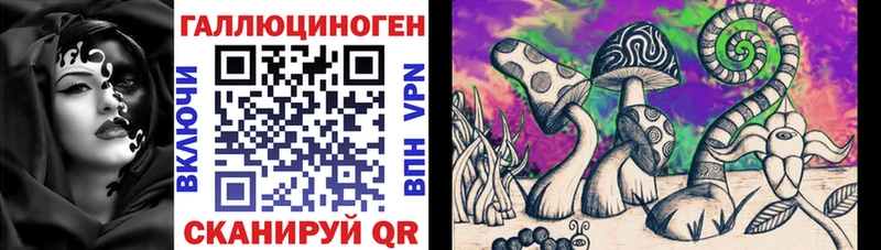 что такое наркотик  Елизаветинская  Галлюциногенные грибы Psilocybe 